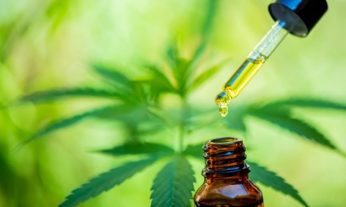 Cannabis medicinal é alternativa para tratamento de náuseas em pacientes oncológicos